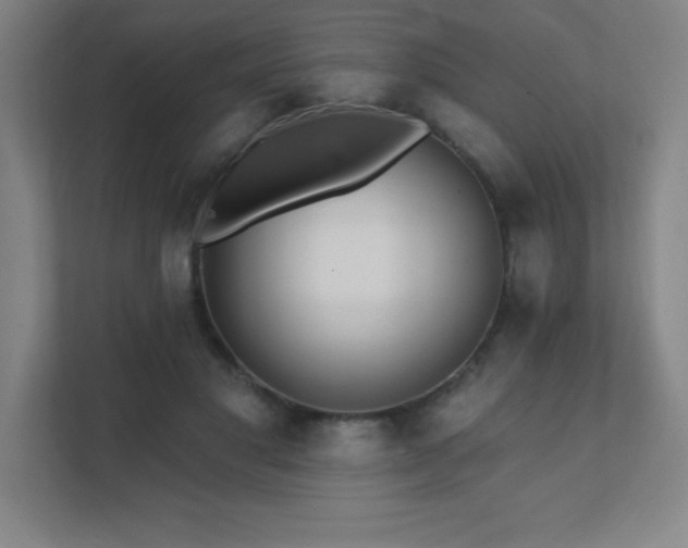 X0000111790501200907231146