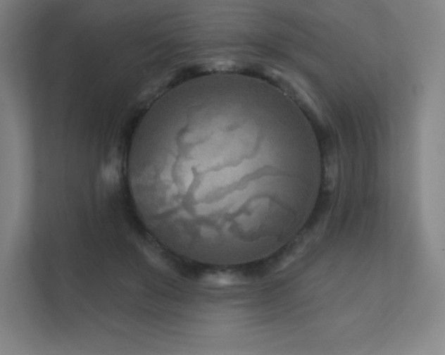 X0000111790503200907231146