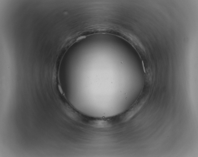 X0000111790509200907231146