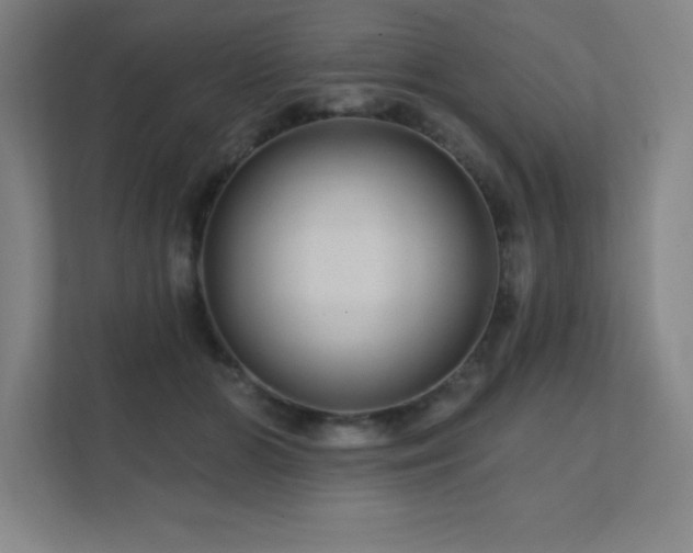 X0000111790510200907231146