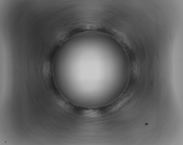 X0000111790511200907231146