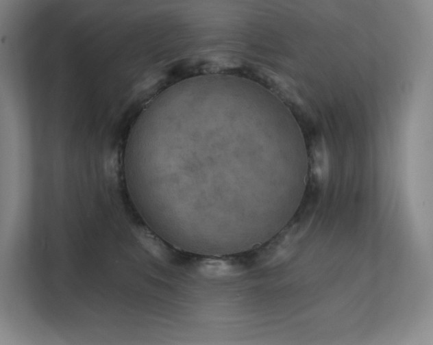 X0000111790519200907231145