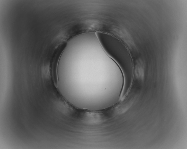 X0000111790520200907231145