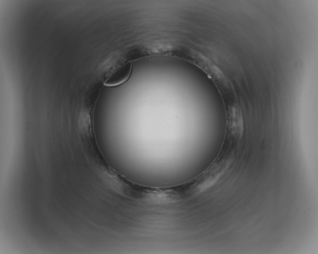 X0000111790523200907231145