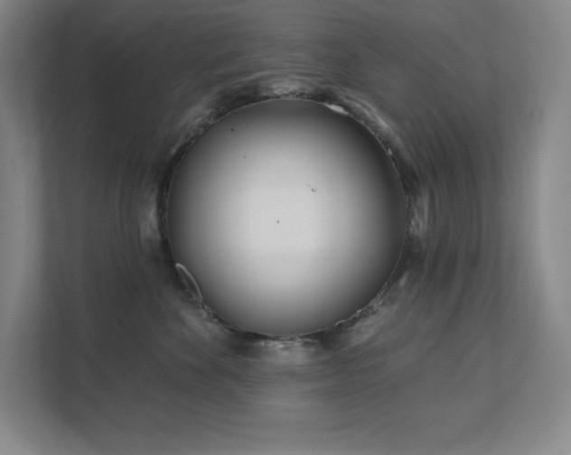 X0000111790524200907231145