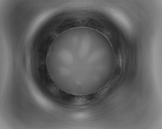 X0000111790526200907231145