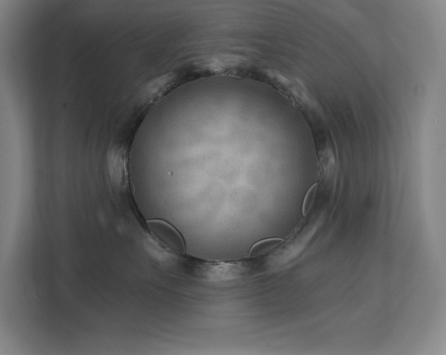 X0000111790527200907231145