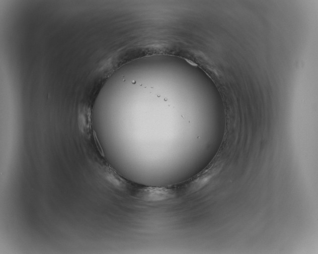 X0000111790528200907231145