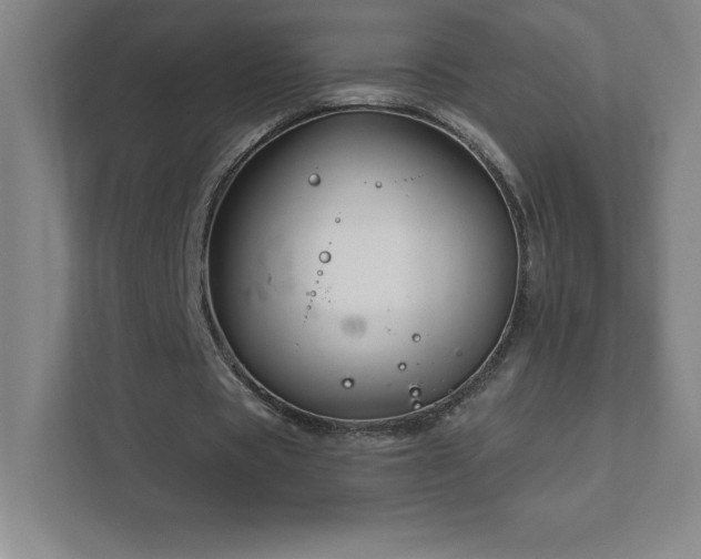 X0000111790529200907231145