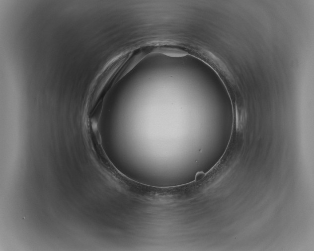 X0000111790531200907231145