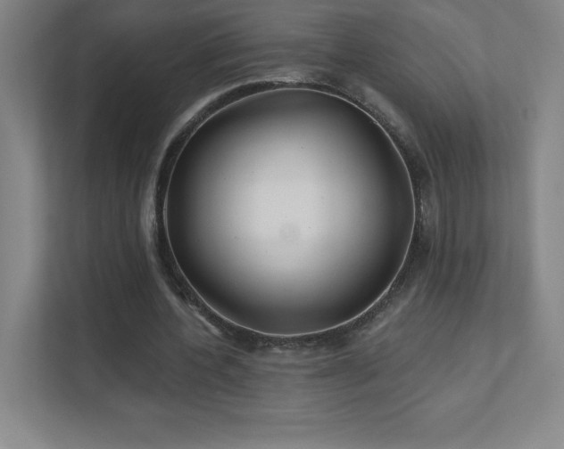 X0000111790532200907231145