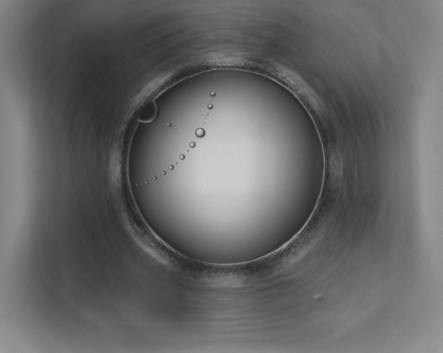 X0000111790533200907231145