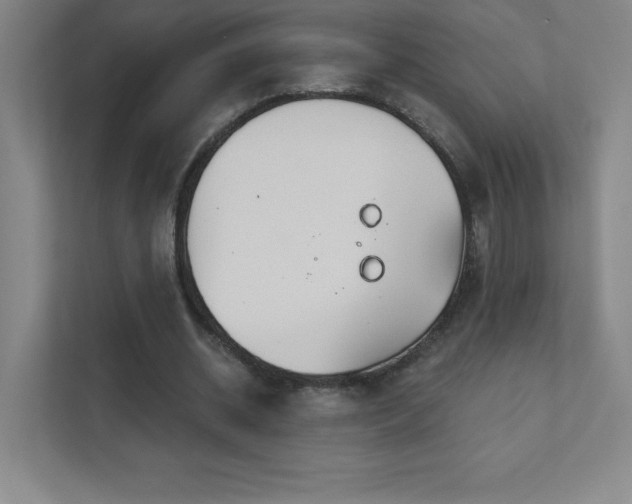 X0000111790534200907231145