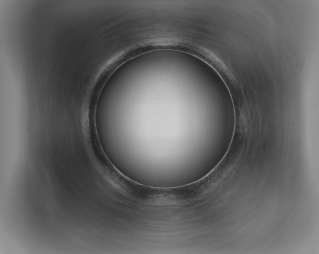 X0000111790535200907231145