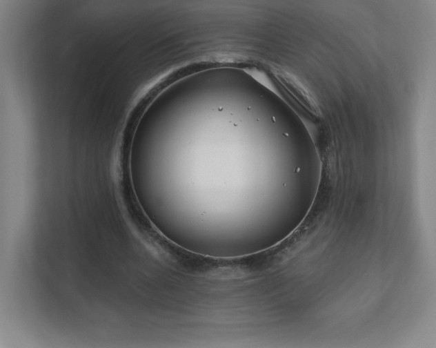 X0000111790536200907231145