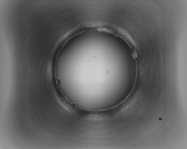 X0000111790538200907231145