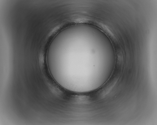 X0000111790539200907231145