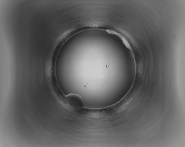 X0000111790540200907231145