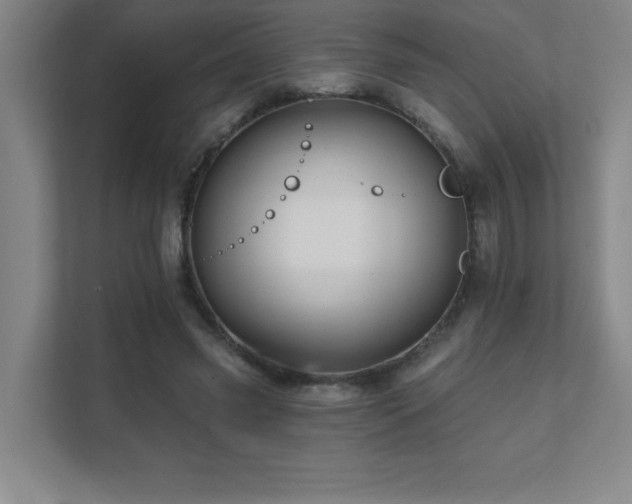 X0000111790541200907231145