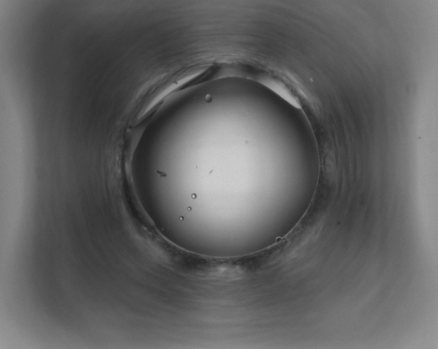 X0000111790543200907231145