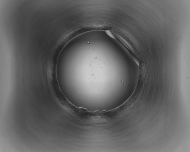 X0000111790544200907231145