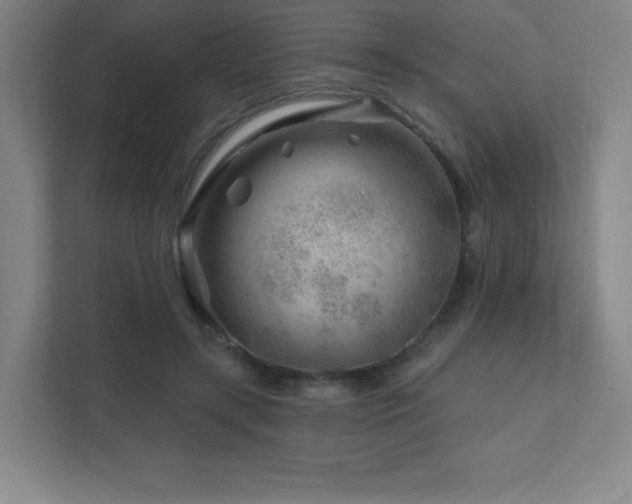 X0000111790547200907231145