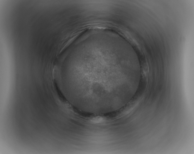 X0000111790551200907231145