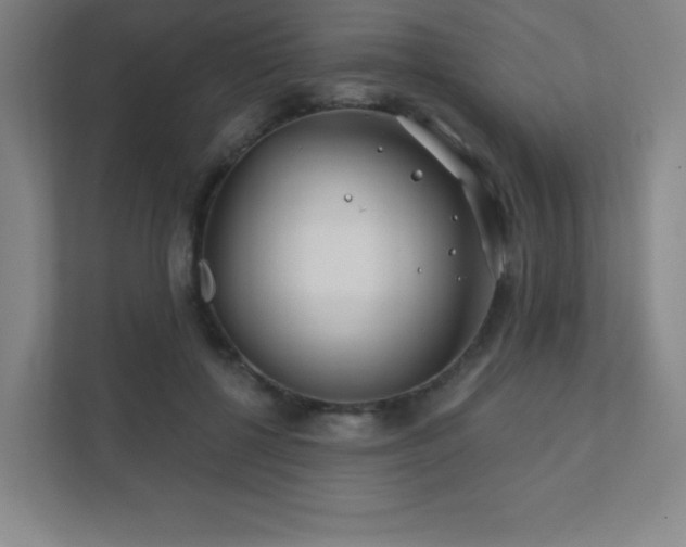 X0000111790552200907231145