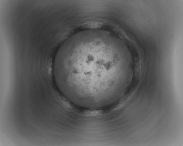 X0000111790553200907231145