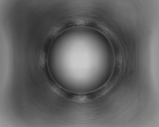 X0000111790554200907231145