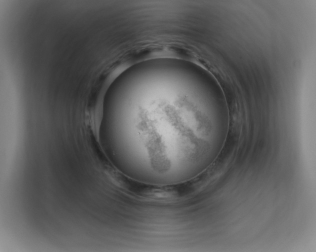 X0000111790555200907231145