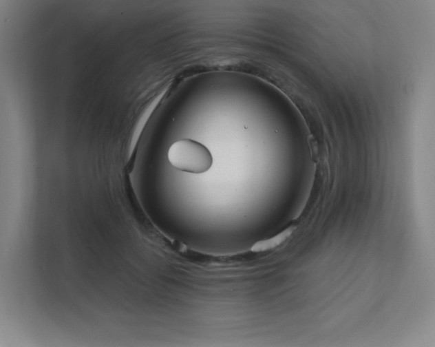 X0000111790556200907231145