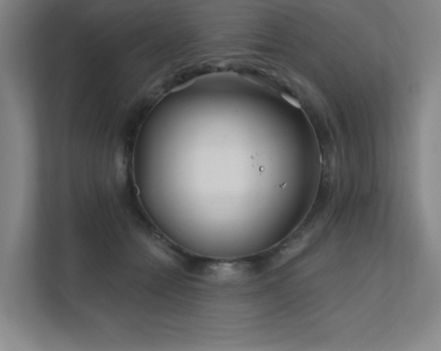 X0000111790558200907231145