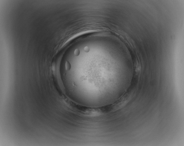 X0000111790559200907231145