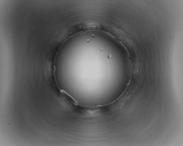 X0000111790560200907231145