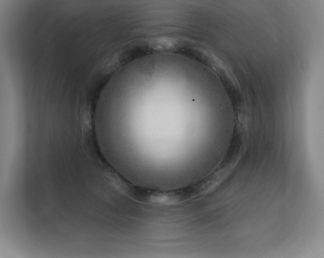 X0000111790561200907231145