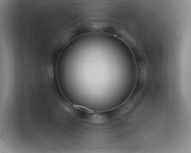 X0000111790562200907231145