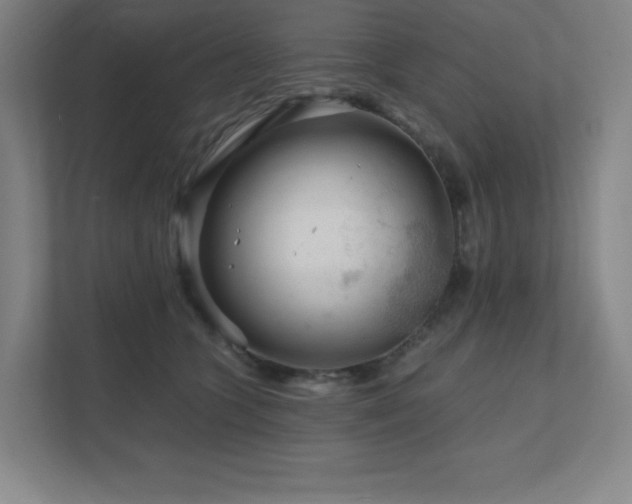 X0000111790563200907231145