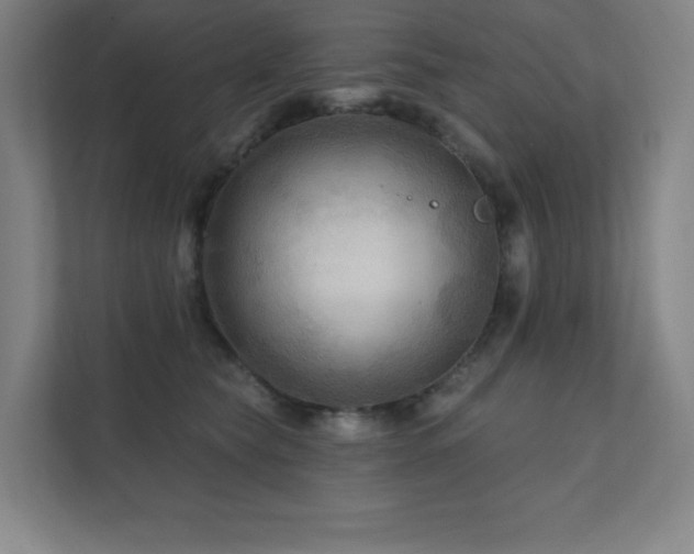 X0000111790565200907231145