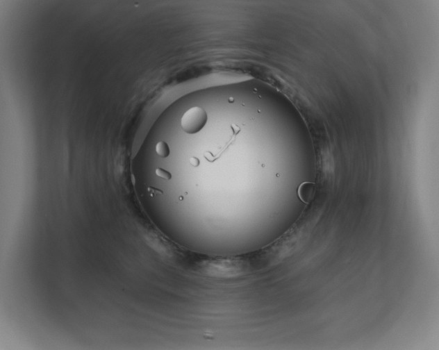 X0000111790567200907231145