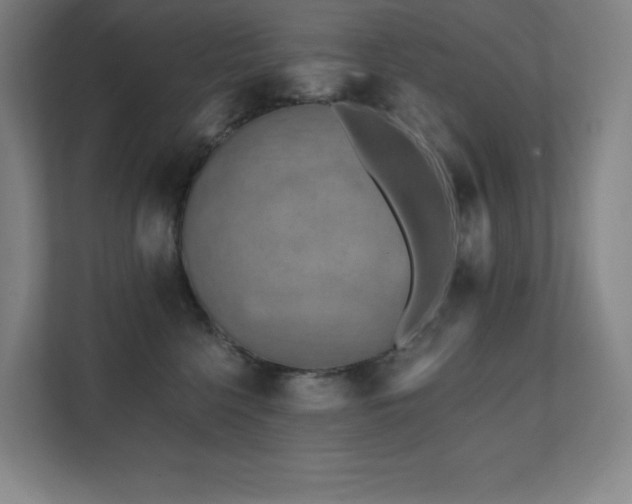 X0000111790568200907231145