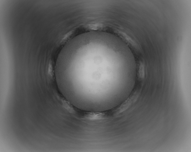 X0000111790569200907231145