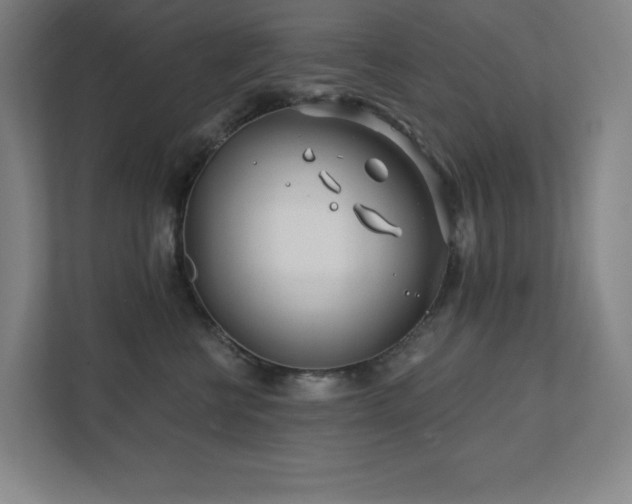 X0000111790570200907231145