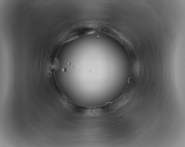 X0000111790571200907231145