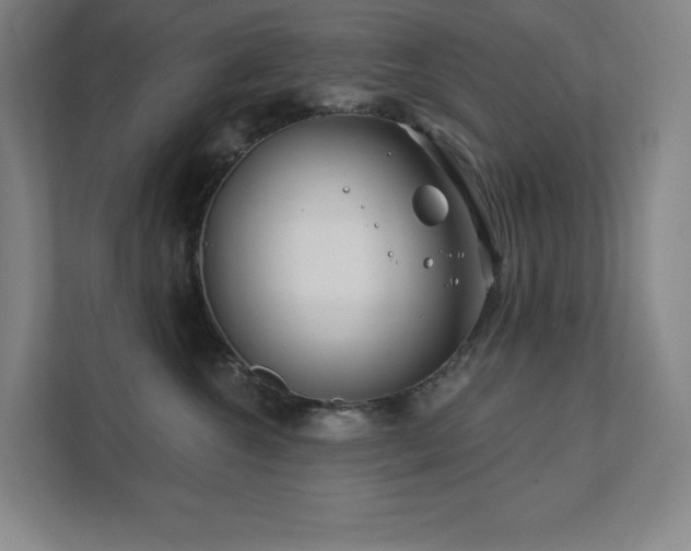 X0000111790572200907231145