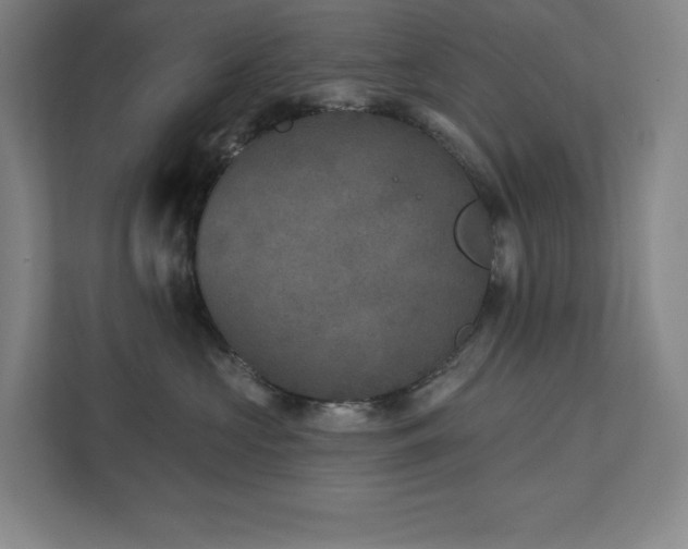 X0000111790573200907231145