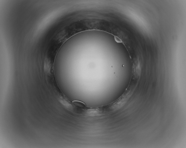 X0000111790574200907231145