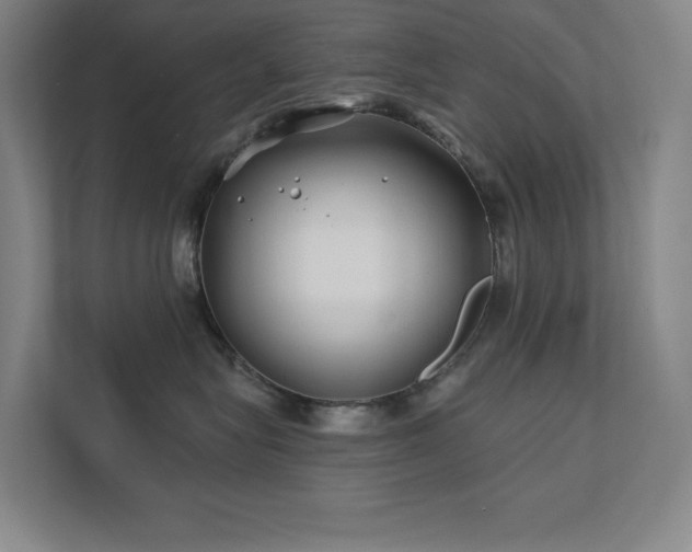 X0000111790575200907231145