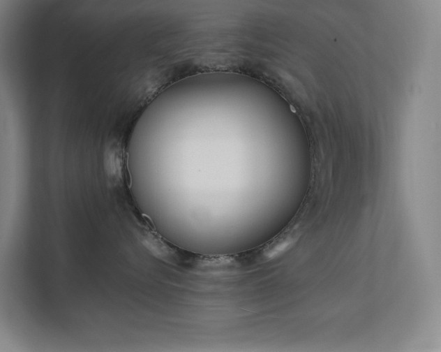 X0000111790576200907231145