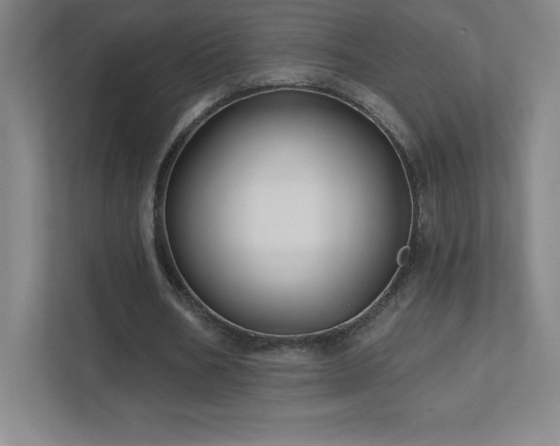 X0000111790578200907231145